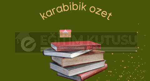 karabibik ozet