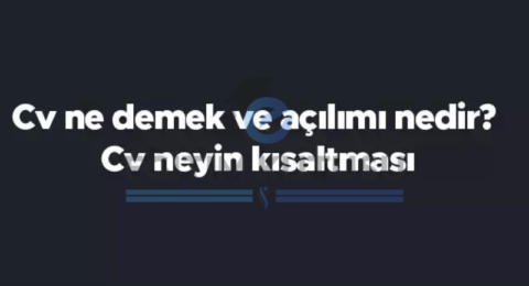 cv_ne_demek